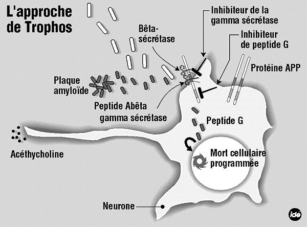 comment traiter alzheimer