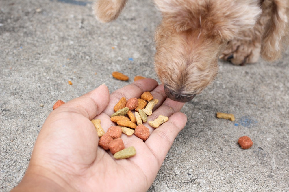 Villeneuve Pet Food repris par l'allemand Deuerer